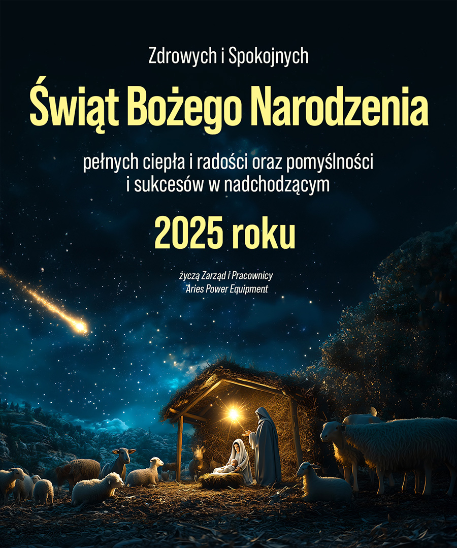 Radosnych Świąt i pomyślnego 2025 roku!